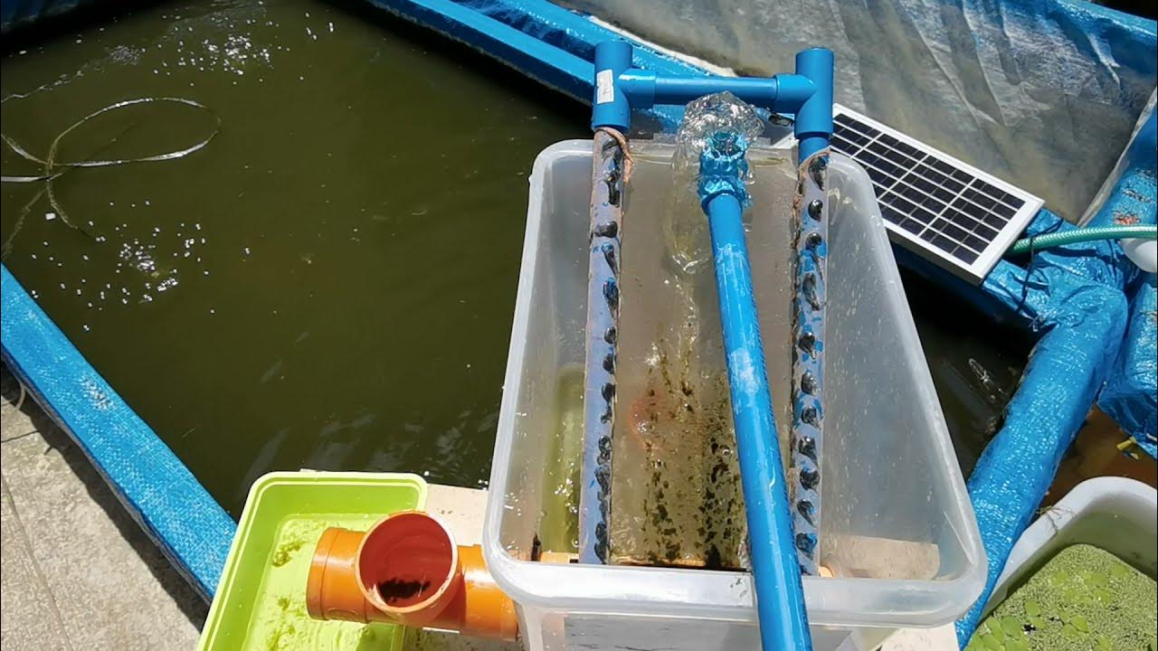 Sieve Filter for Koi Pond Part 1 The Testing YouTube