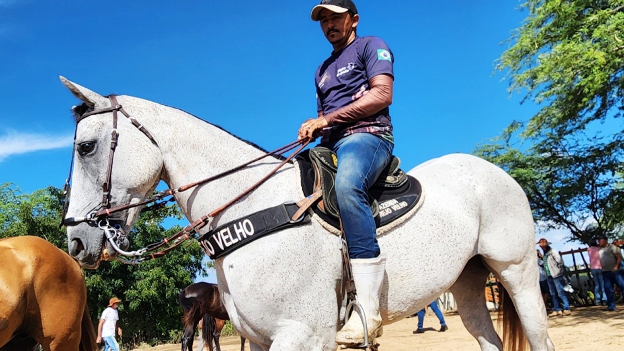FEIRA DE CAVALOS EM ALTINHO-PE  21-02-2026  #nordeste