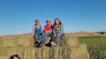 PREPARING for WINTER // WOW the FIRES are BAD// FIREFIGHTERS are our HEROES//