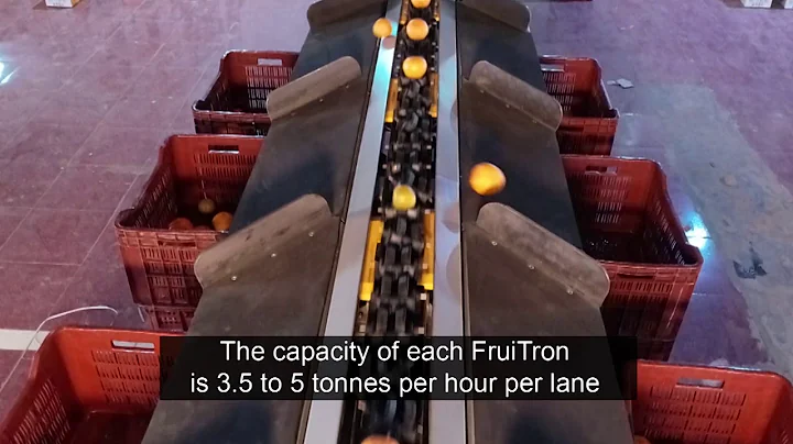 Hortisort - India's First High-Speed Optical Fruit  Grading System