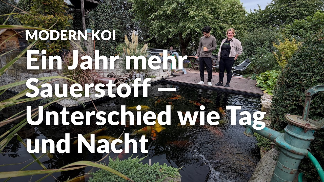 Mit Makoto zu Besuch bei Kathrin | Modern Koi Blog #8347