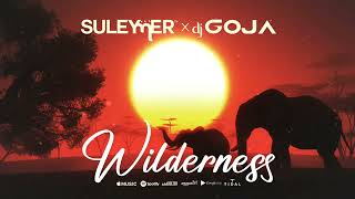 Suleymer x Dj Goja - Wilderness (Official Single)