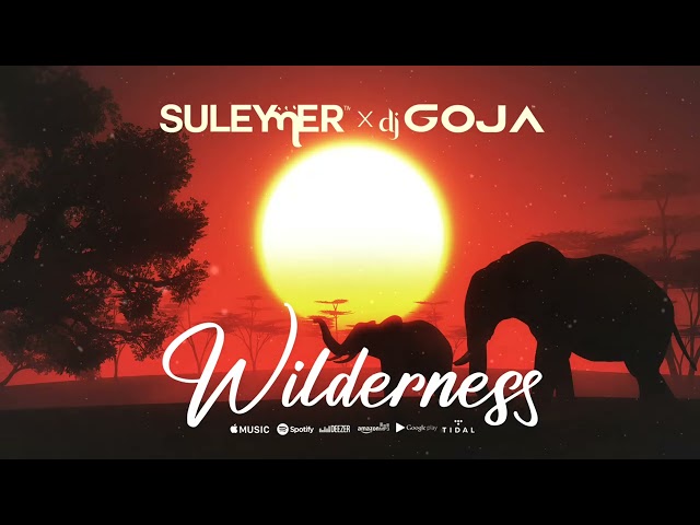 Suleymer x Dj Goja - Wilderness (Official Single) class=