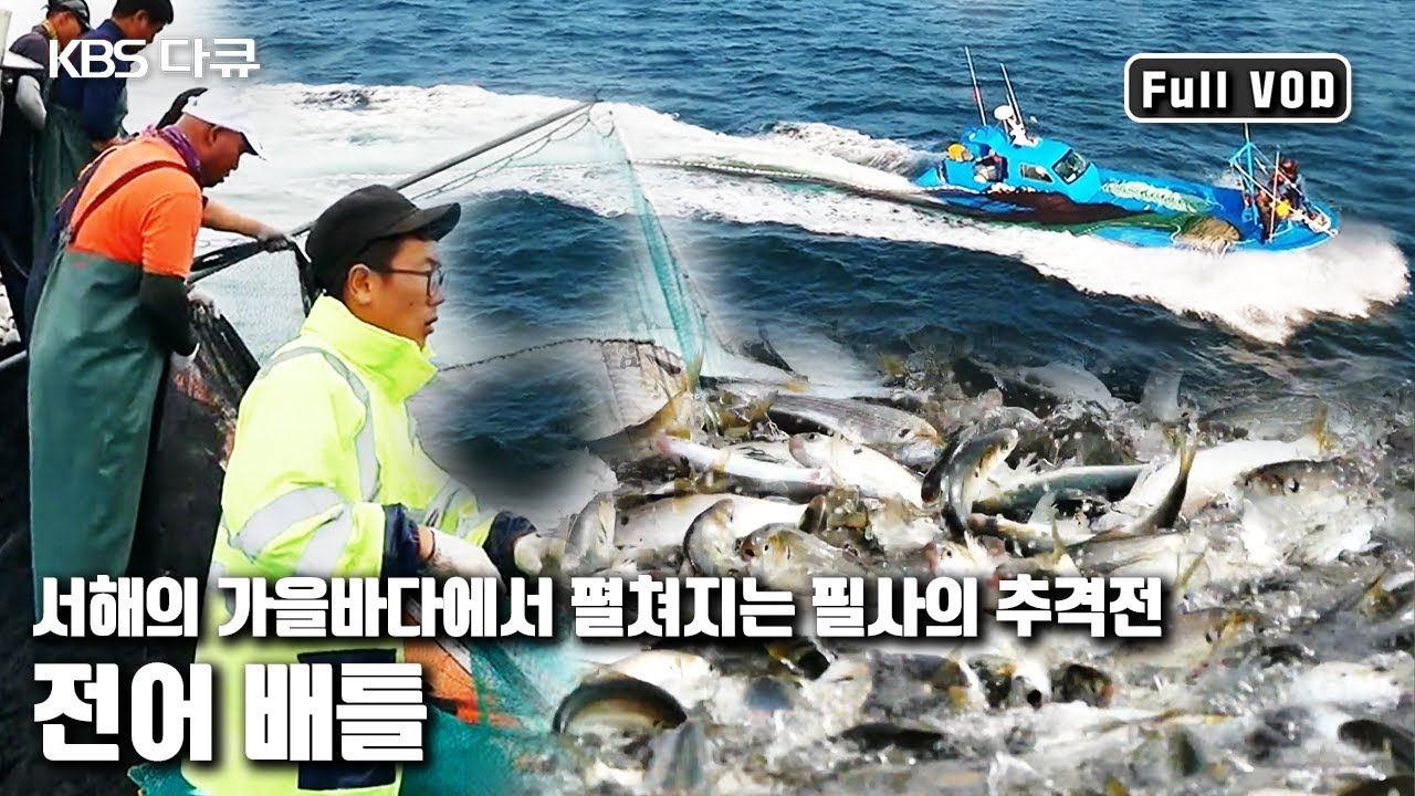 팽팽한 속도전! 70대 노인에서 24살 막내까지 전어 잡이를 위한 80일간의 동고동락 '가을바다, 3부자의 전어 추격전' (KBS 20161008 방송)