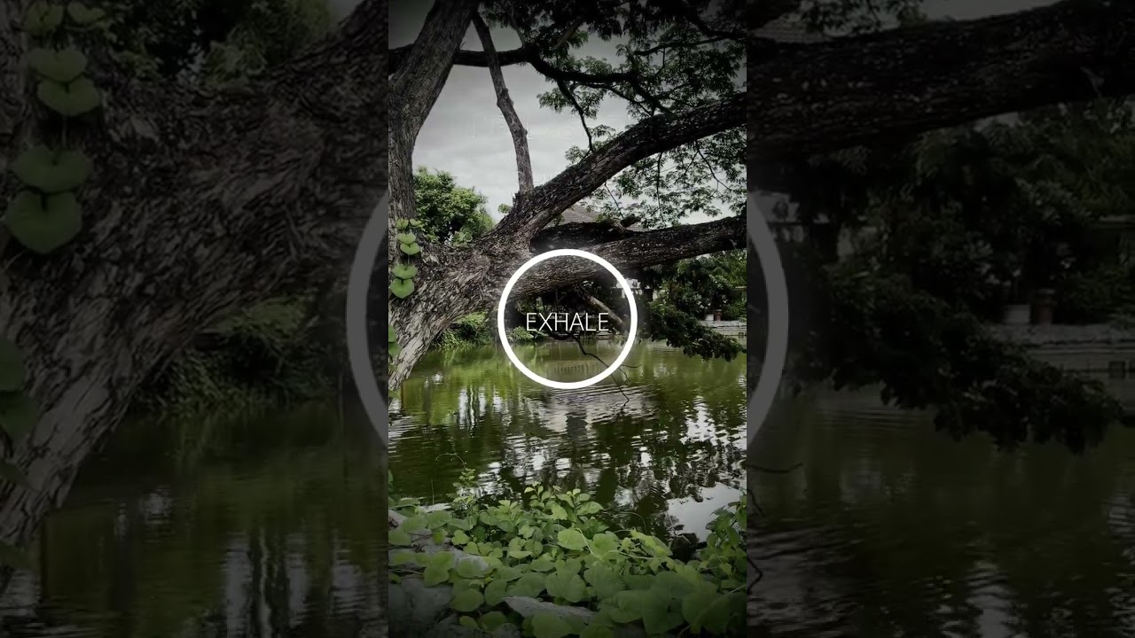 Rippling Pond Meditation