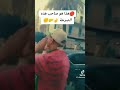 باعوها ياعلي السعوديه Ba3oha Ya 3li اكسبلور 
