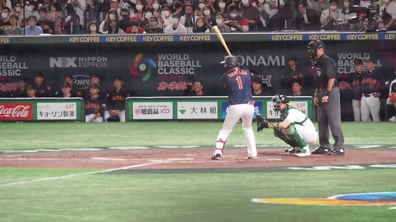 【応援歌】4万人が大合唱‼︎山田哲人の応援歌がついに復活　半端ない東京ドーム侍ジャパン日本対オーストラリア