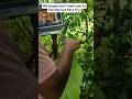 Coding got easy lol Comment “app” for the link. #parakeetaiad #coding #developer #reels #explore