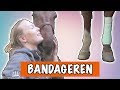 Hoe doe je bandages om? | PaardenpraatTV