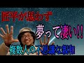 【夢って凄い】虫の知らせ以上の知らせ