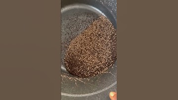 Maggot as an alternative animal feed is a sustainable strategy you should adopt