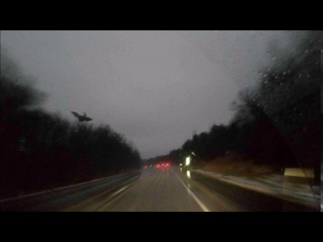 the jersey devil sightings