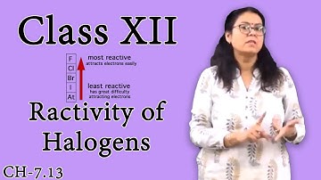 Reactivity of Halogens | P Block Elements | Class 12 Chemistry | 12th Board 2022 | Shaillee Kaushal