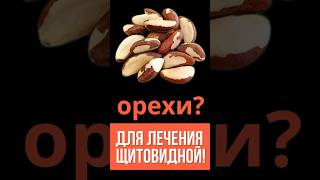 Какие орехи полезны для щитовидной железы?