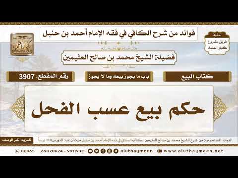 [3907] حكم بيع عسب الفحل - تعليقات على الكافي لابن عثيمين