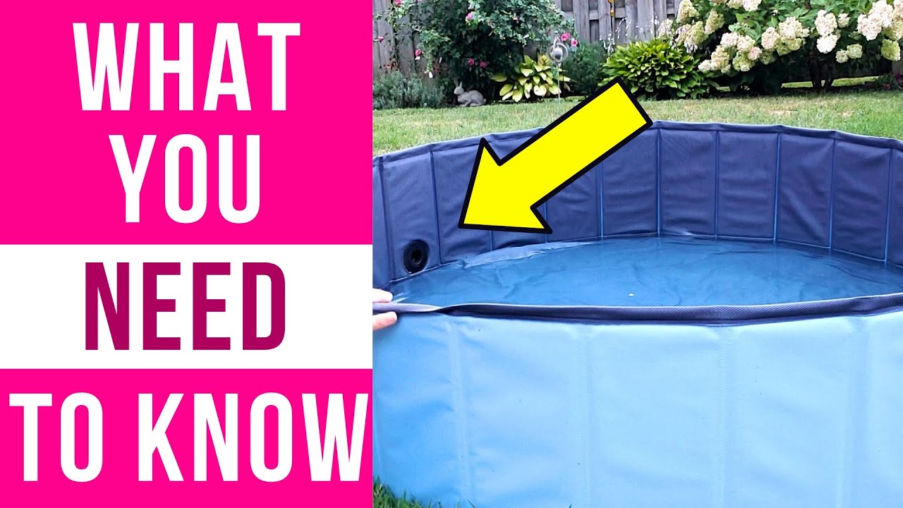 Обзор: Складной бассейн для собак Jasonwell