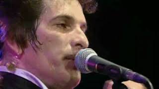 Willy Deville - Steady Driving Man
