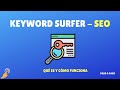 Herramienta Keyword Surfer: ¿Qué es y cómo se usa?