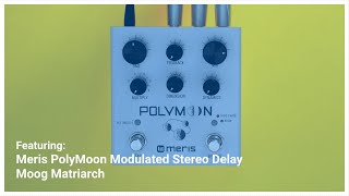 Meris PolyMoon delay pedal with Moog Matriarch synth demo