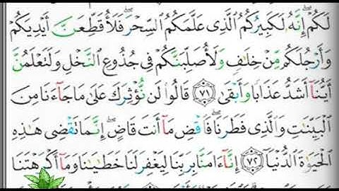 مصحف التجويد الصفحة 316 إبراهيم الأخضر