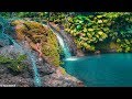 La Cascade de Bis à Sainte-Rose