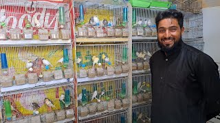 زيارة عند جواد طفرات الكناري 2024🇲🇦 ورانا  طيور الكناري  للبيع مع اهم ال..