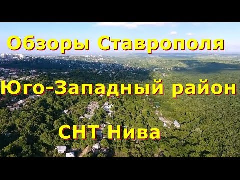 Снт нива талдомский район