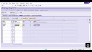 How to Working with Table Maintenance Generator Wealth