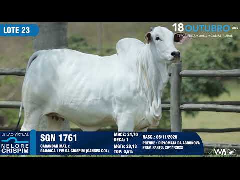 LOTE 23 SGN 1761