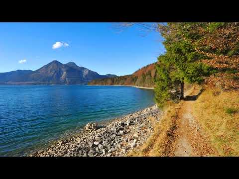 John O'Callaghan feat Lo-Fi Sugar - Never Fade Away (Giuseppe Ottaviani Remix) [2009]