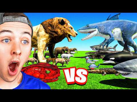 Reacting to KING OF THE JUNGLE vs KING OF THE OCEAN (ARBS)