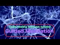 Cells Healing the body - Immune system Guided meditation