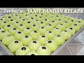 Terbaru janit pandan kelapa  ide isi toples lebaran