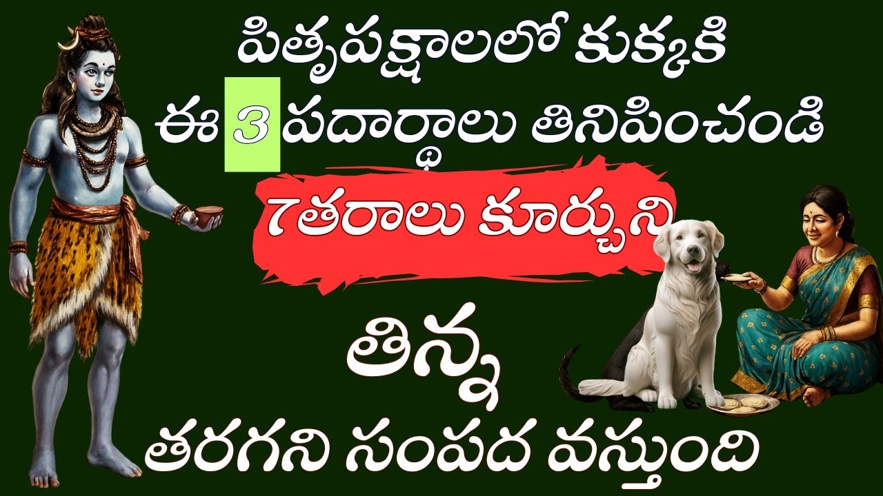 🌟 కుక్కకి ఈ 3 పదార్థాలు తినిపిస్తే వచ్చే అదృష్టం | Pitrupaksha Secrets Telugu