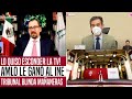 ESTO LO QUISO ESCONDER LA TV! AMLO LE GANÓ AL INE. TRIBUNAL BLINDÓ LAS MAÑANERAS. SE ACABÓ! NOTICIAS