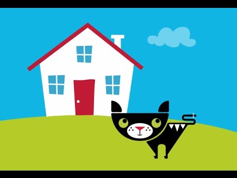 Comment traiter votre maison pour Fleas (Petco)
