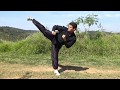 33 Chutes do Kung Fu Estilo Livre