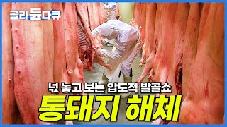 오직 칼 한 자루로 통돼지를 순식간에 해체! 압도적인 발골쇼│20년 경력 발골 달인│극한직업│#골라듄다큐