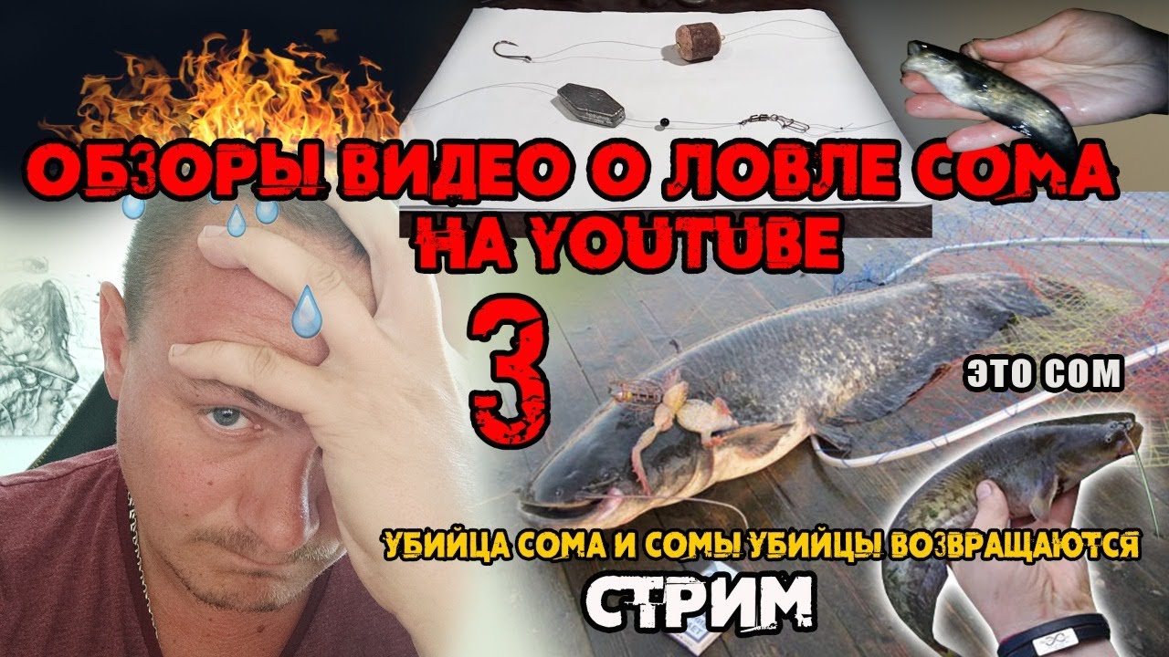 Сомы убийцы на волге