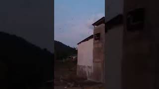 Pjw Old vs inap akau 2014