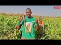 Pourquoi rien n'arrêtera les VDP agricoles après leur formation?