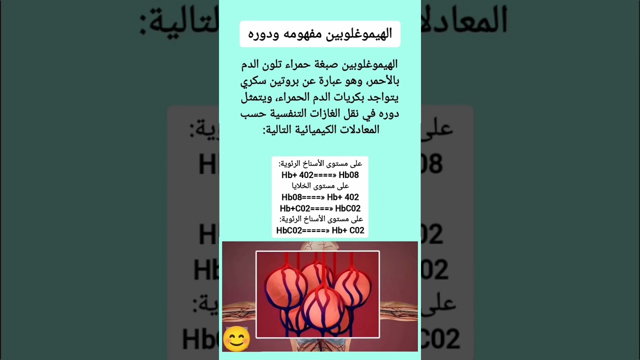 الهيموغلوبين مفهومه ودوره