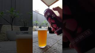 Rocky Ridge x Mountain Culture &#39;Sloth&#39; Hazy TIPA ABV: 11.0%