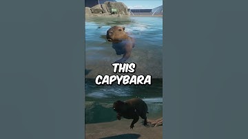 Capybara against an ULTIMATE WATER RACE #shorts #planetzoo