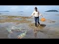 Catch and cook sea crab at the beach  crab cooking on sand