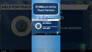 $9 Million in Aid for Peach Farmers