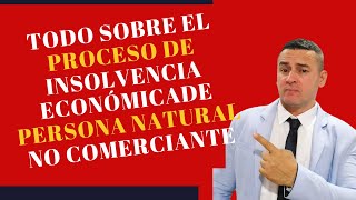 PROCESO DE INSOLVENCIA ECONOMICA DE PERSONA NATURAL NO COMERCIANTE  2023