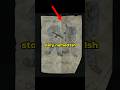 The Saddest Note in The Last of Us (Ish) #TheLastOfUs