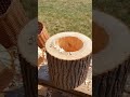 Log Beehive Making: Traditional Hollowing Crafting Nature Friendly Homes
