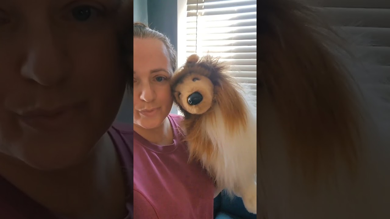 Realistic Collie Stuffed Animal Perfect Gift Douglas Plush Dog Pup Review